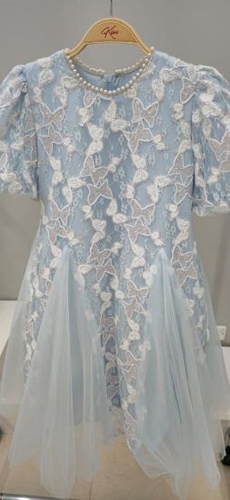 صورة فستان أزرق أنيق مزين بالتل على الفستان